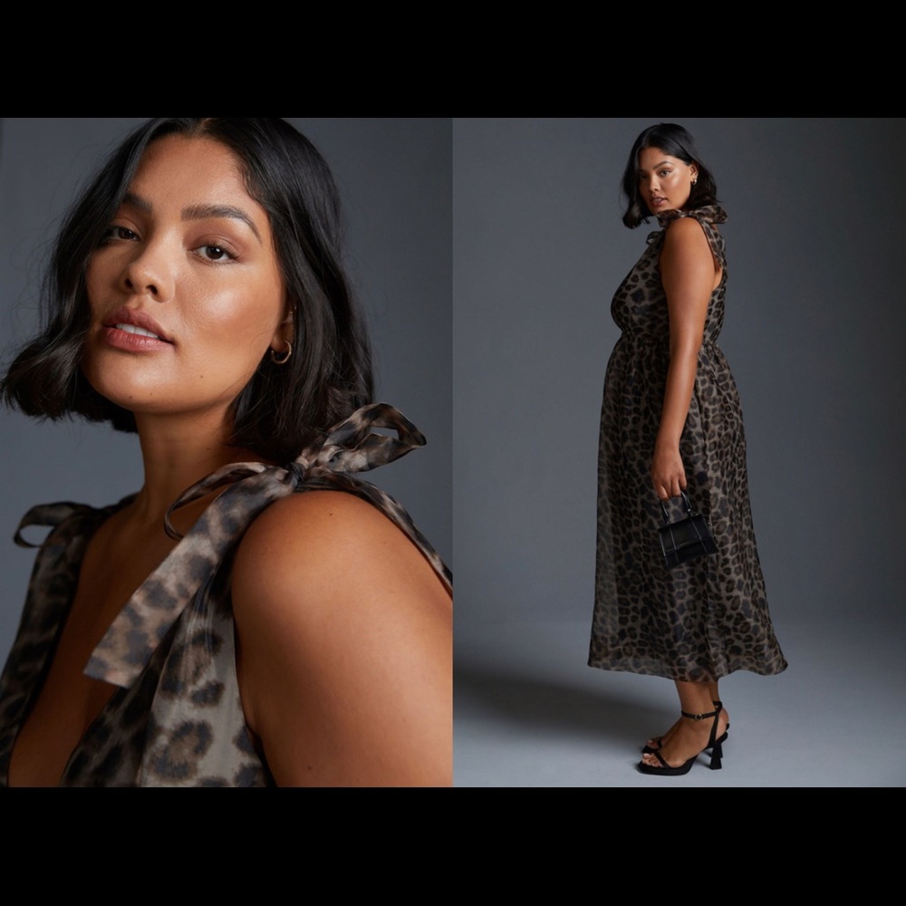 Anthropologie Daniel Rainn Organza Printed Maxi